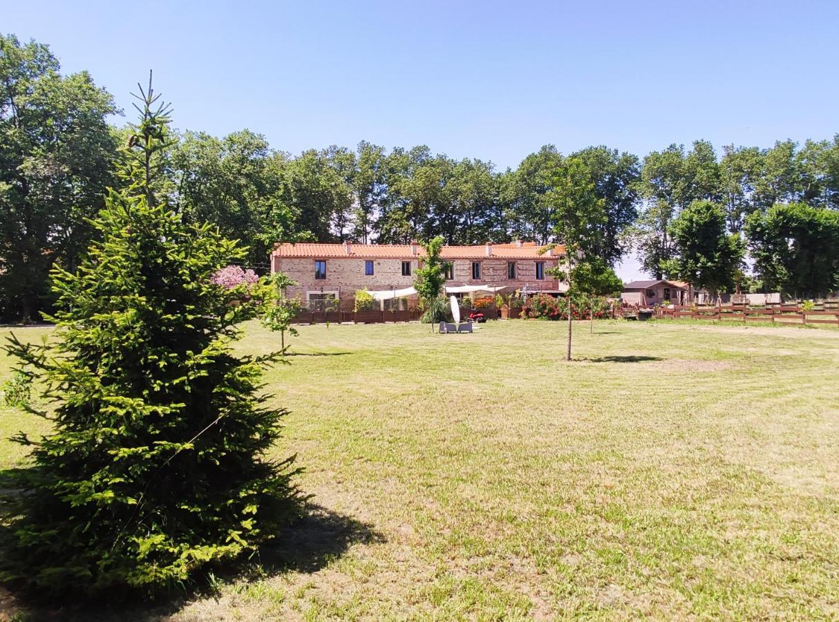 Les Appartements Du Mas Riols Saint-Cyprien  Εξωτερικό φωτογραφία